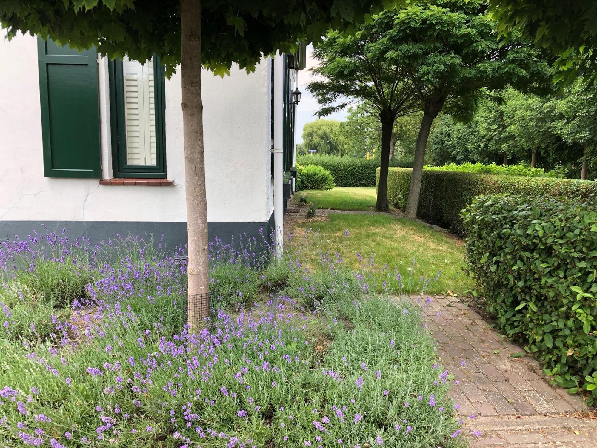 B&B De Tol Hulst Extérieur photo