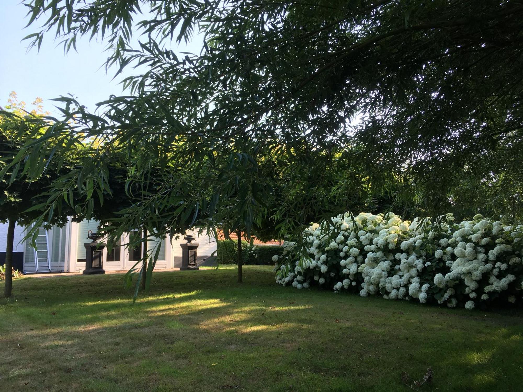B&B De Tol Hulst Extérieur photo